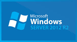 win server logo