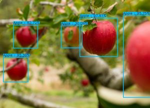 Object counting with the Avinton Edge AI Camera