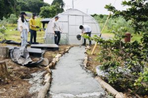 真鶴農業でメンバー同士交流